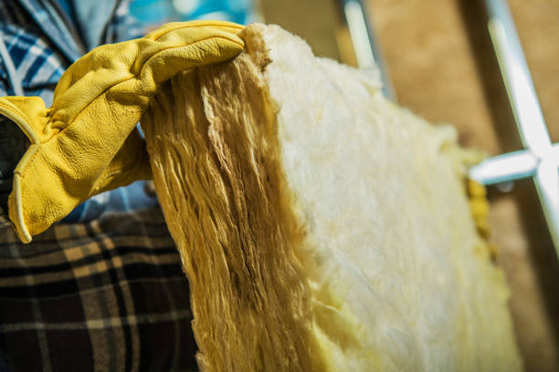 Best Geographic-Specific Insulation Services in Albany, LA