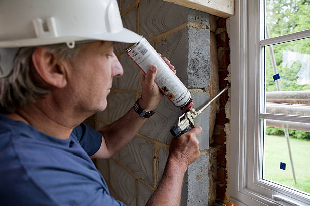 Best Cellulose Insulation in Albany, LA